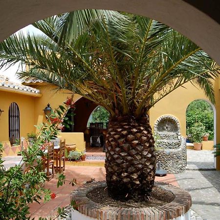 B&B Finca La Loma Comares Extérieur photo